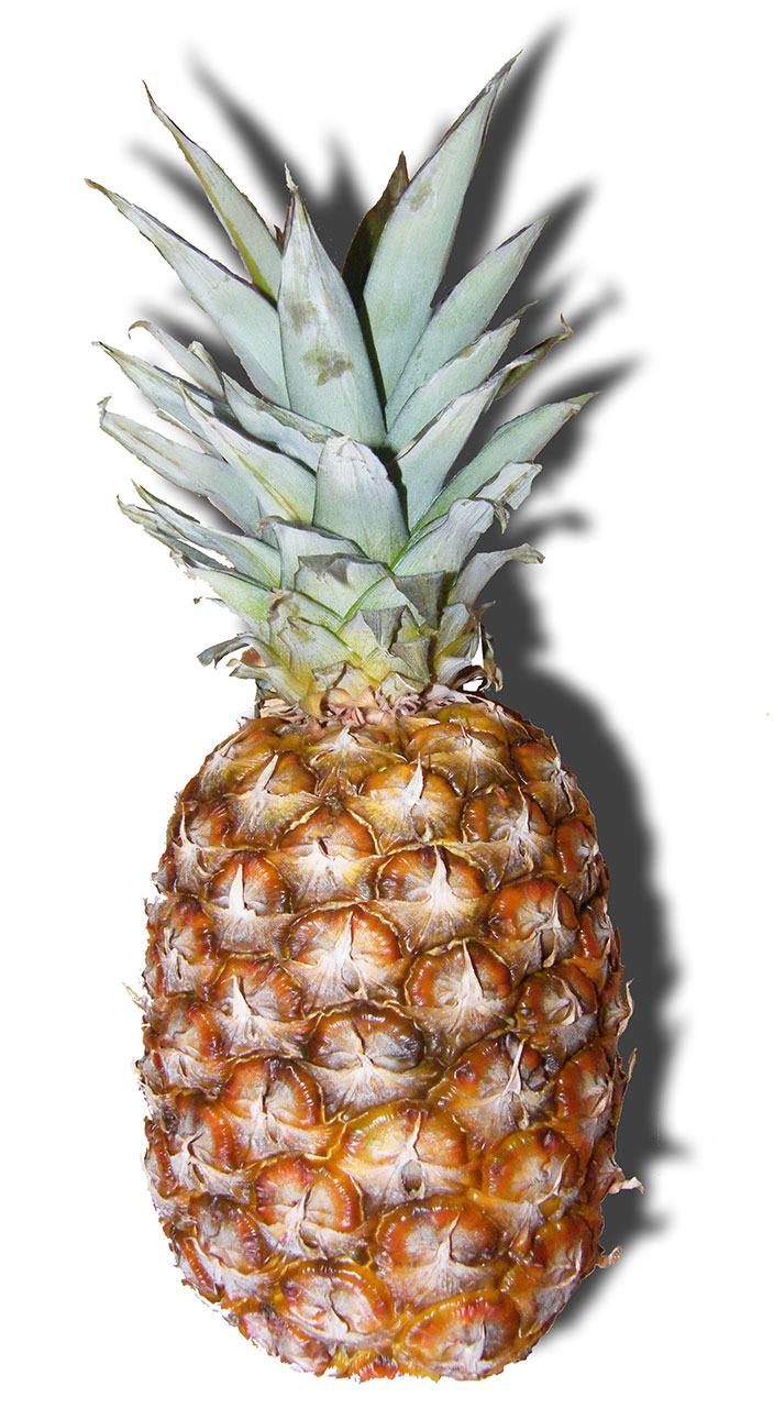 Teu'Lon Pineapple Punch