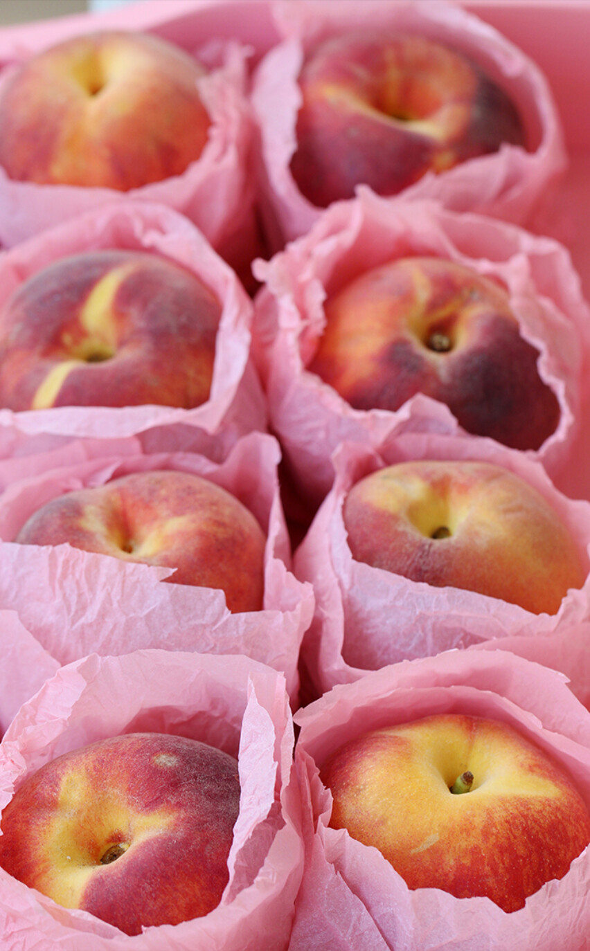 Teu'Lon Peach Please